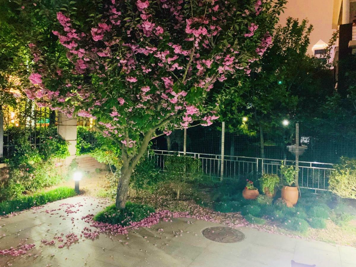 Floral Hotel - Begonia Villa تشينغداو المظهر الخارجي الصورة